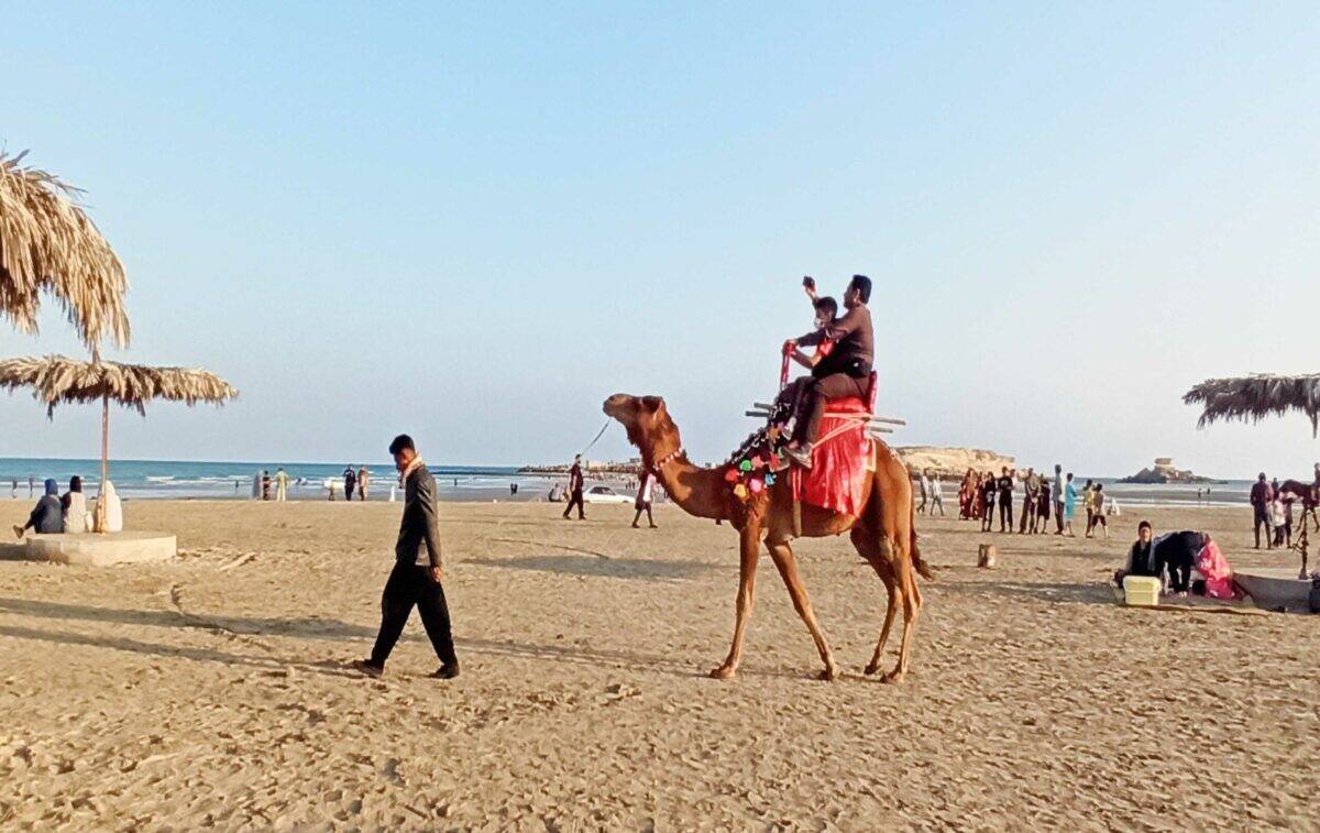 گشت یک روزه قشم وهنگام - فروشگاه تفریحات قشم