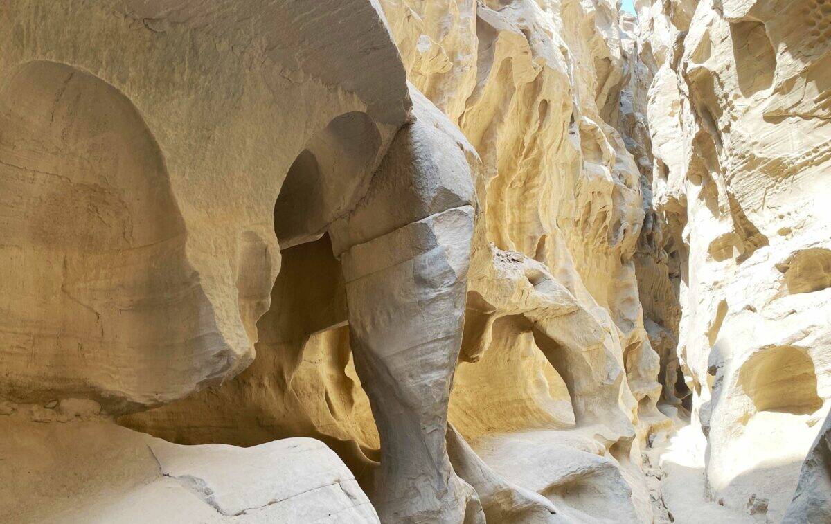 گشت یک روزه قشم وهنگام - فروشگاه تفریحات قشم