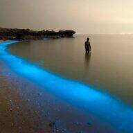 تور گشت جزیره لارک - فروشگاه تفریحات قشم