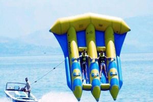 1فلای فیش قشم